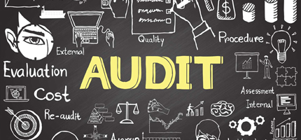 auditor.jpg